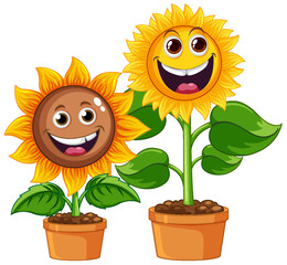 Poster - Sunflower plant in pot cartoon isolated