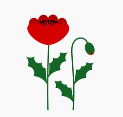 Wall Mural - poppy flowers plants. vector illustration.
