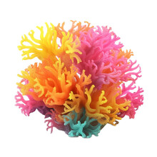 Coral Reef Isolated On Transparent Background Cutout 