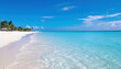 Beautiful seascape with sandy beach with few palm trees and blue lagoon
