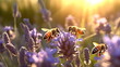 bee and butterfly on wild field floral sunny field meadow ,daisies, cornflowers,lavender ,poppy flowers and old village on horison at summer morning ,sunset sky,generated ai