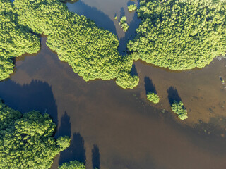 Wall Mural - Aerial drone panorama of the white beaches of Antigua island in the Caribbean sea