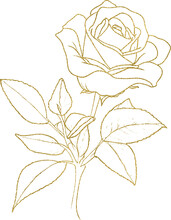 Rose Gold Glitter Flower Line Drawing Silhouette