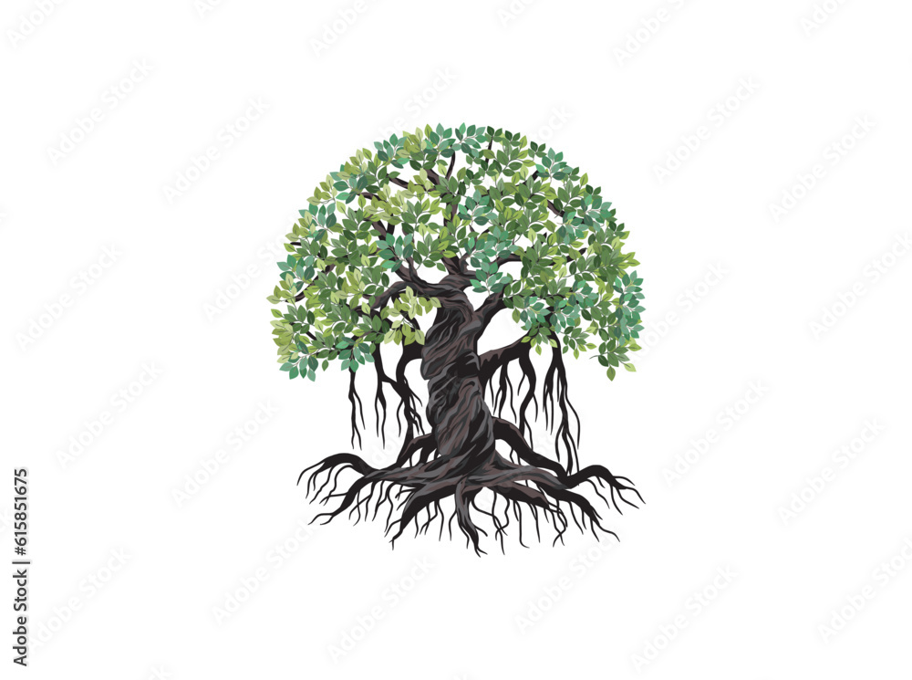 Banyan tree vector illustration. roots of banyan tree. 素材庫向量圖 | Adobe Stock