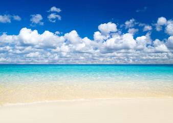 beach and tropical sea . nature background