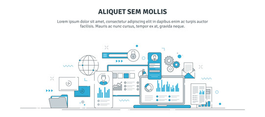 Wall Mural - vector illustration of finance management, finance business, data analysis. graphs, charts and busin