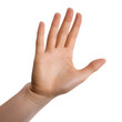 © Papugrat - hand showing hi sign isolated on transparent background cutout