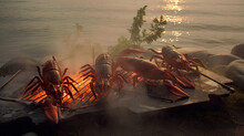 Lobsters Cooking On An Open Fire Pit By The Water And Trees In The Background With Sun Shining Through The Smoke