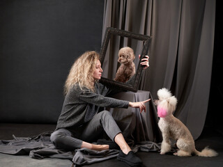 Wall Mural - curly girl with a two dogs in a photo studio on gray. white and chocolate Poodles and happy woman