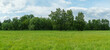 © ALKLE - Large forest clearing in summer surrounded by mixed forest