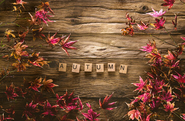 Sticker - Autumn leaves. Fall red leaves on wood. Nature background