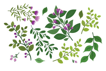 Wall Mural - Hand drawn set of twigs with berries and leaves.