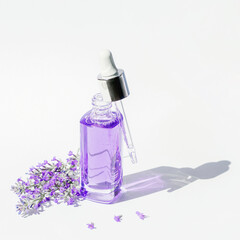 Wall Mural - Lavender cosmetic serum bottle in sunlight. Natural cosmetics, aromatherapy concept. Closeup