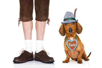 Wall Mural - bavarian dachshund or sausage  dog with  gingerbread with owner  isolated on white background , ready for the beer celebration festival in munich