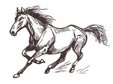 Beautiful Running Horse Doodle Sketch