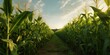 © AkimD - AI Generated. AI Generative. Green farm harvest corn field. Outdoor nature wild plant growing. Graphic Art