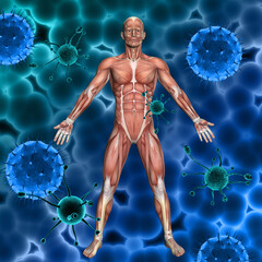 Wall Mural - 3D render of a medical background with male figure with muscle map and abstract virus cells