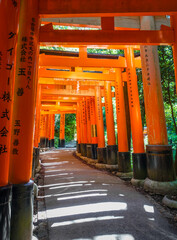 Wall Mural - Fushimi Inari Taisha torii shrine, Kyoto, Japan