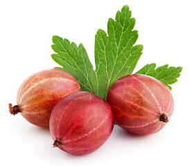 Wall Mural - Closeup of three ripe red gooseberry berry with gooseberry leaf isolated on white background