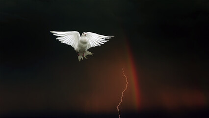 Sticker - Pigeon with rainbow and lightning