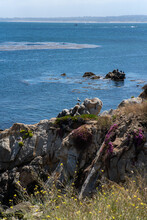 Scenic View From The Pacific Grove Vista Point In California