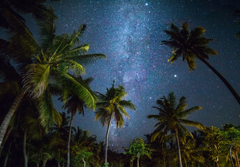 Wall Mural - night shot with palm trees and milky way in background, tropical warm night