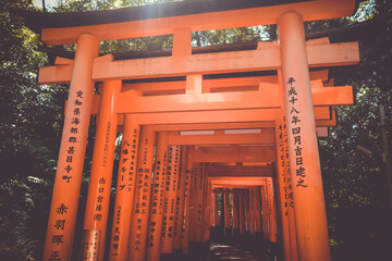 Wall Mural - Fushimi Inari Taisha torii shrine, Kyoto, Japan