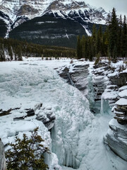 Sticker - Icy Sunwapta Falls in Winter surrounded my snowy trees