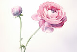 watercolor of Ranunculus created with Generative AI technology