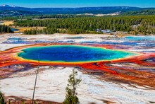 The Beautiful And Colorful Grand Prismatic Spring Of Yellowstone National Park