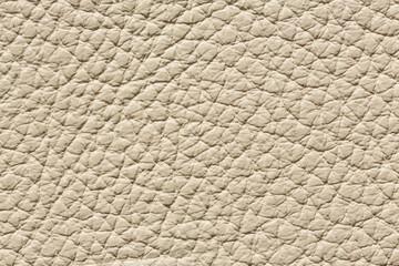 Canvas Print - Light beige leather texture with relief surface. High resolution photo.