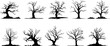 © yulyulsugeh - Silhouette of a dead tree vector illustration. Illustration of trees and branches without leaves
