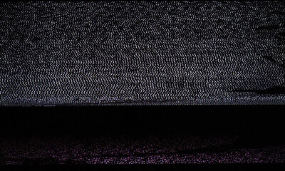 Wall Mural - old tv scan line texture