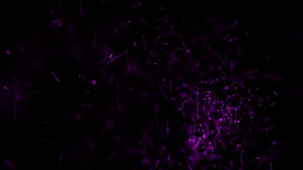 Wall Mural - Flying sparks of blue-violet color motion as animated 3D abstract introduction decoration explosion on black background