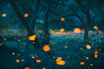 Wall Mural - Bokeh light of firefly in forest at dusk in Thailand