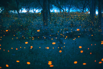 Wall Mural - Bokeh light of firefly in forest at dusk in Thailand
