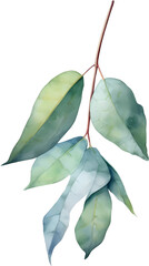Wall Mural -  eucalyptus leaves watercolor PNG