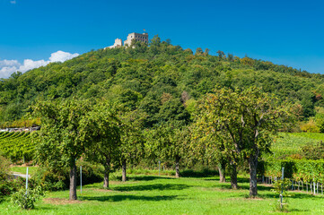 Wall Mural - Landschaft mit Weinberg vor dem Hambacher Schloss bei Hambach. Region Pfalz im Bundesland Rheinland-Pfalz in Deutschland