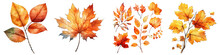 Watercolor Illustration Autumn Leaves Transparent Background, PNG
