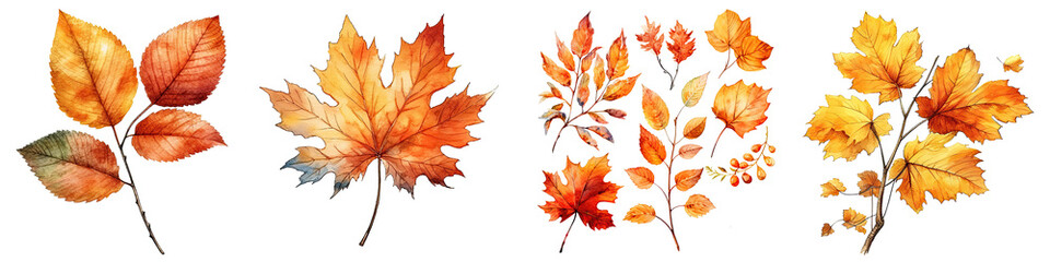 Wall Mural - Watercolor illustration autumn leaves transparent background, PNG