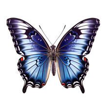 Red-spotted Purple Butterfly -  Limenitis Arthemis. Transparent PNG. Generative AI