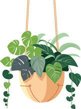 Hanging Flower Pot, Plant Pot Illustration, Hanging Flower Pot, Plant Pot For Home Decor