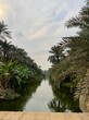 Nile river in Cairo, Egypt