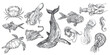 Handdrawn sea animals illustrations pack, fish drawings, artwork, sushi, fish, design, sea animal