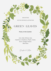 Wall Mural - Green leaves. Wreath. Vector vintage illustration. 