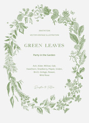 Wall Mural - Green leaves. Wreath. Vector vintage illustration.