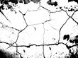 © RobbinLee - crack ground for abstract background on white background