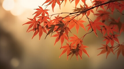 red japanese maple leaves branch in a tree with copy space for background and backdrops. generative 