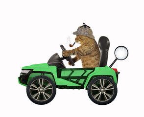 Canvas Print - Cat detective drives green car