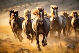 Fototapeta  - Wild Horse Stampede